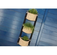 12 mẫu chậu cây cực xinh cho sân vườn nhà bạn