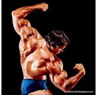 BÀI BIỂU DIỄN CƠ BẮP