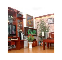 Những cách chế ngự nhà tán khí trong phong thủy hiệu quả