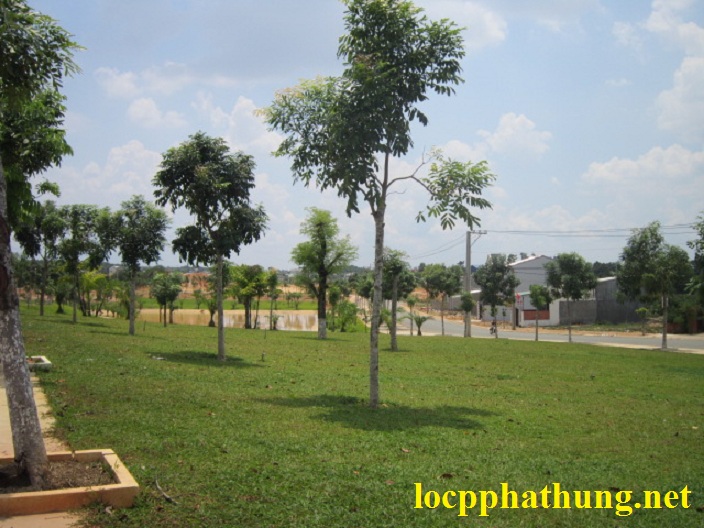 Hình ảnh - BÁN ĐẤT BICONSI,ĐƯỜNG N19 TRỤC ĐƯỜNG THÔNG CÔNG VIÊN HỒ SINH THÁI